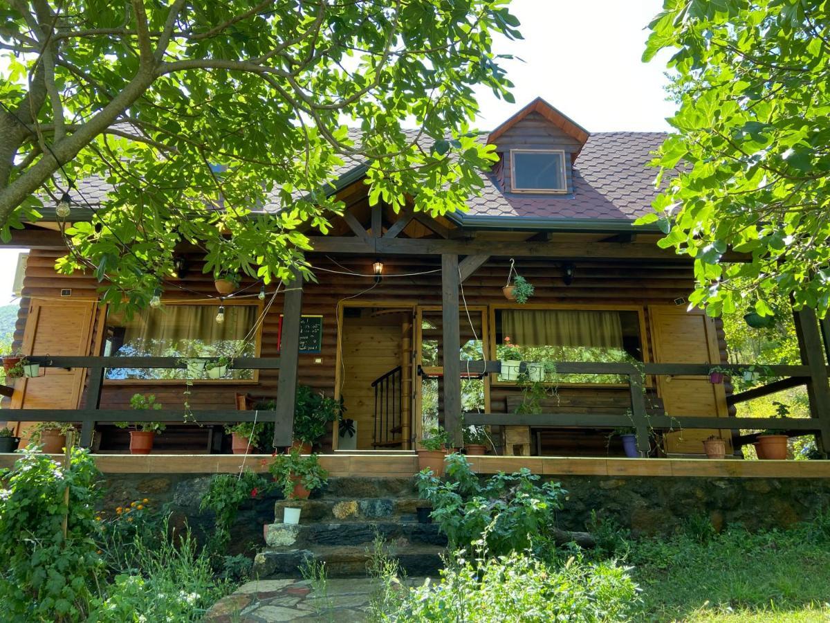 Agora Farmhouse Koman Exterior photo